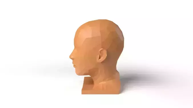 HumanHead Low Poligonal
