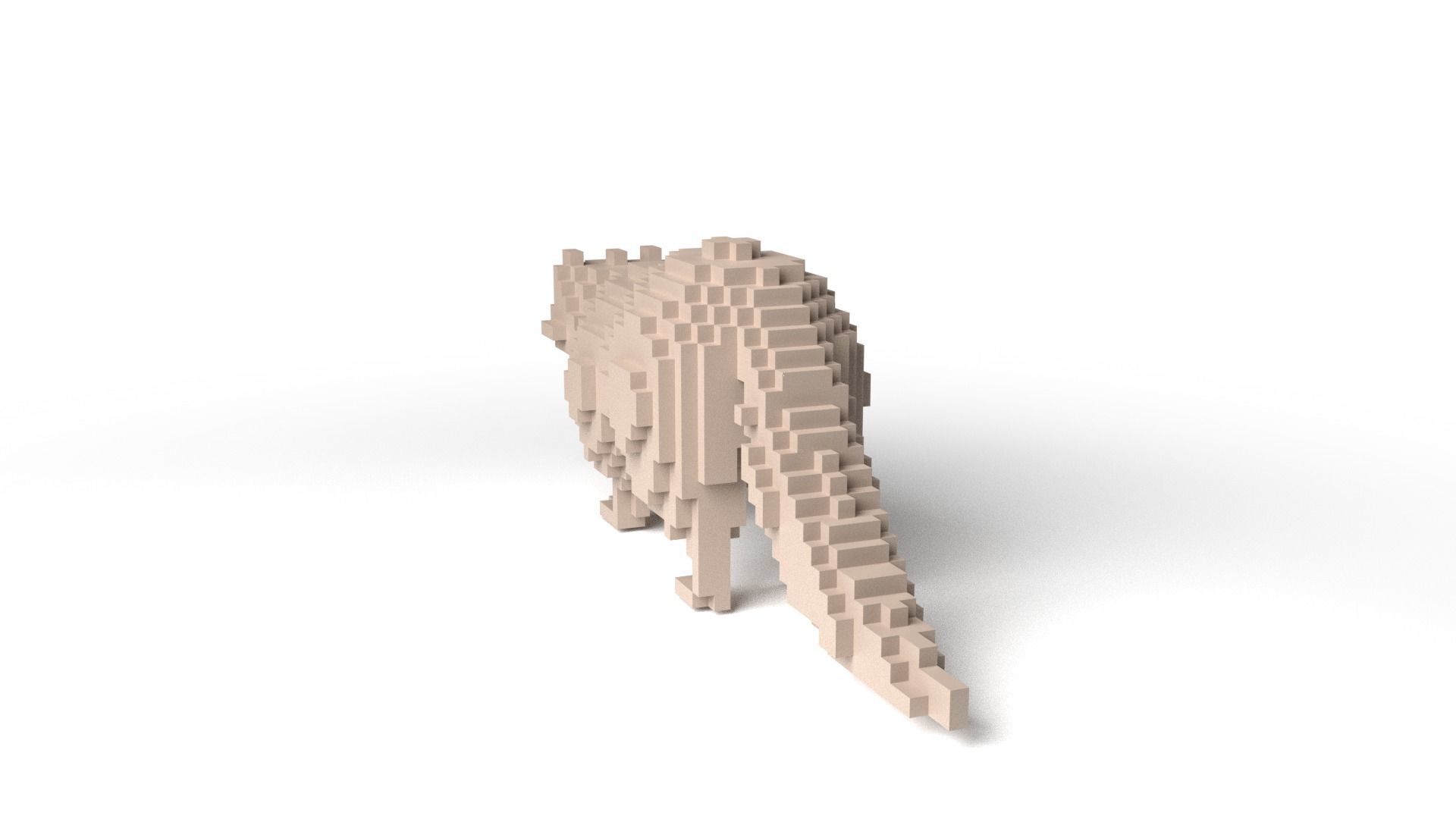 Raccoon Minecraft Voxel Low-poly 3D model_5