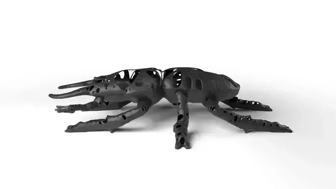 Stagbeetle Dust Voronoi