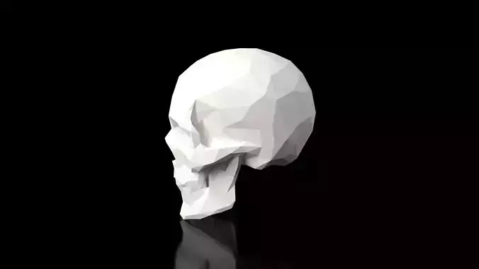 Skull Low Poligonal