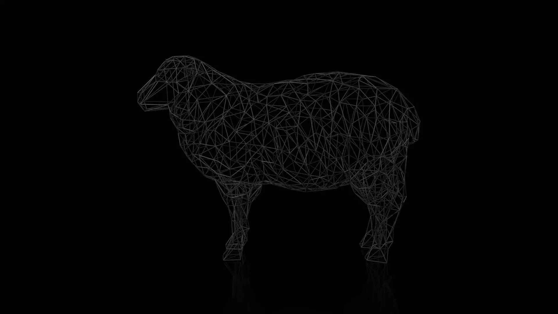Sheep Wireframe Low-poly 3D model