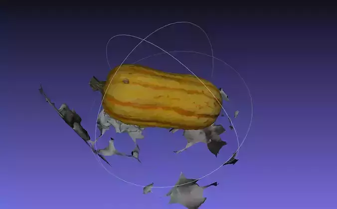 Squash pumpkin flying in air