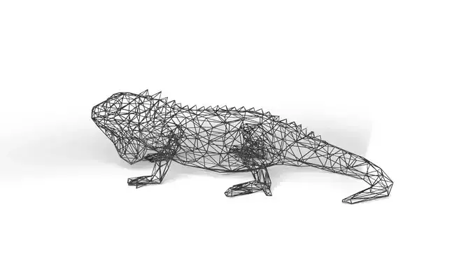 Iguana Wireframe