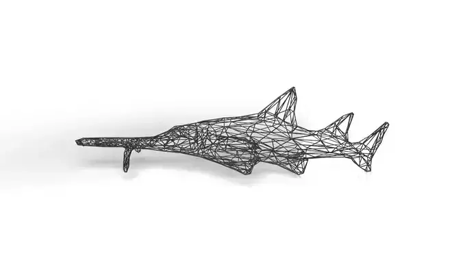 Sawshark Wireframe