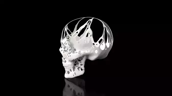 Skull Dust Voronoi Low-poly 3D model