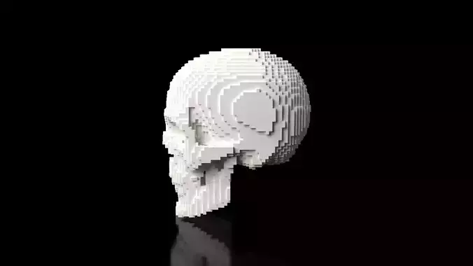 Skull Minecraft Voxel