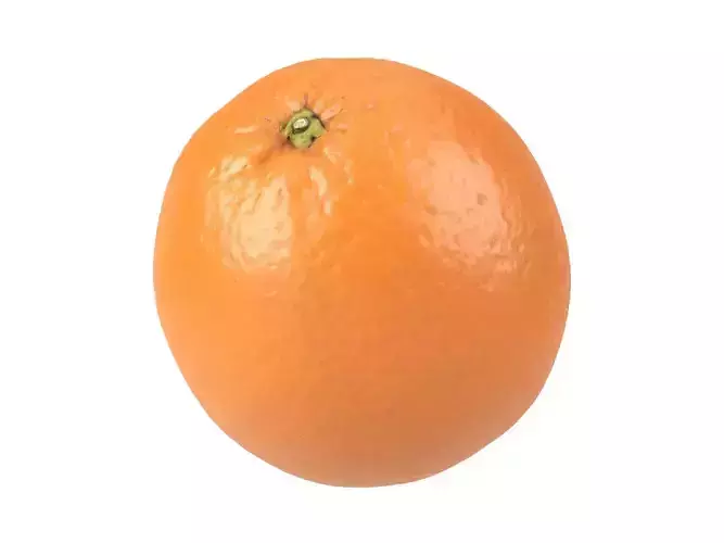 Photorealistic Orange 3D Scan 3