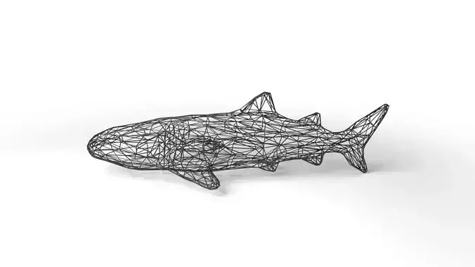 Whaleshark Wireframe