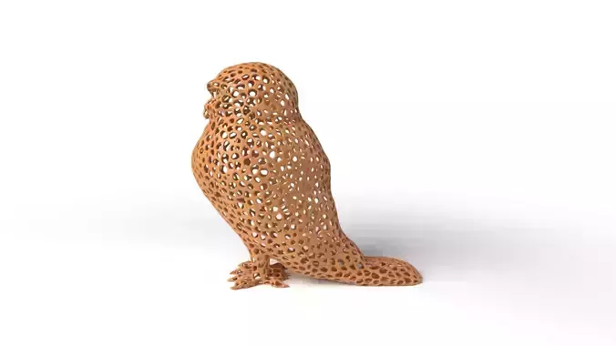 Owl Voronoi
