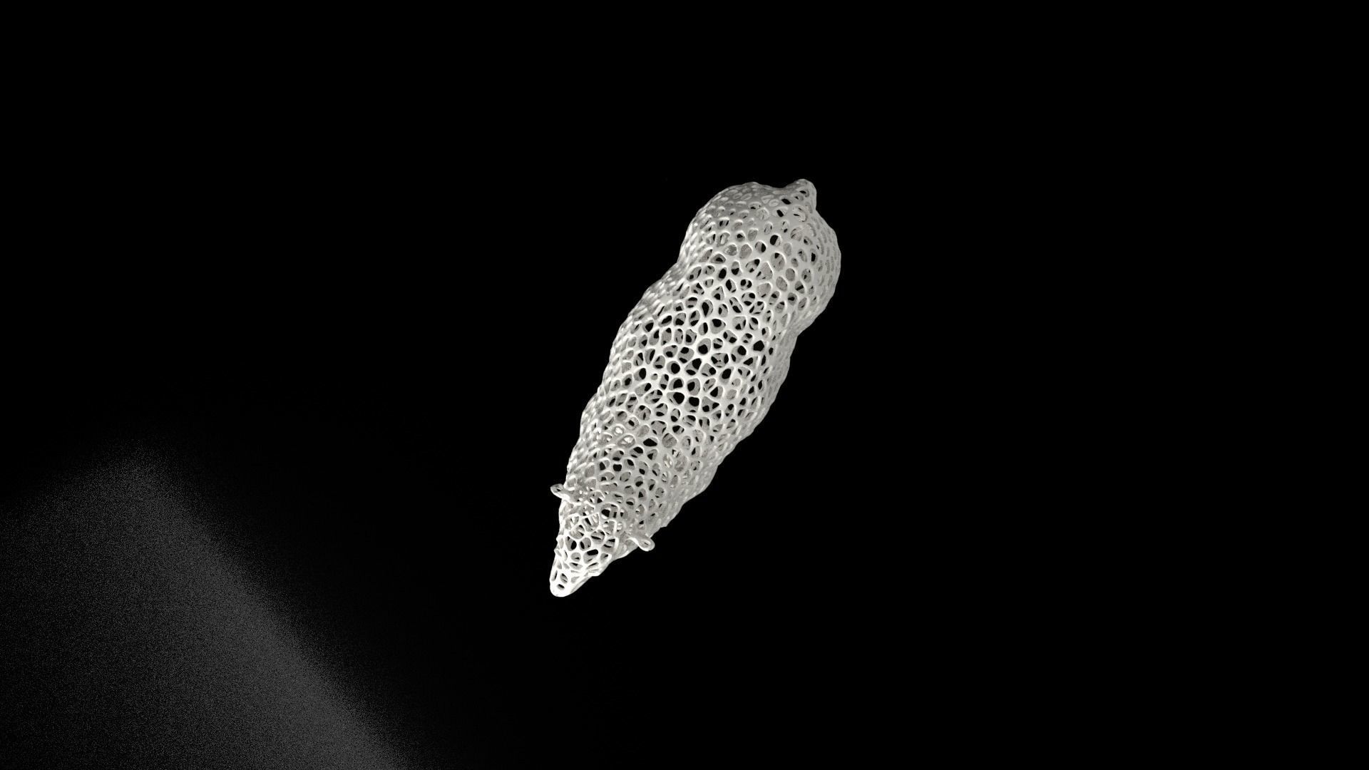 Sheep Voronoi Low-poly 3D model_7