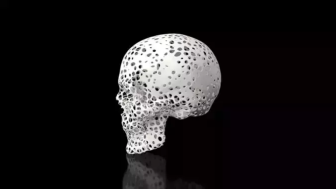 Skull Voronoi Low-poly 3D model