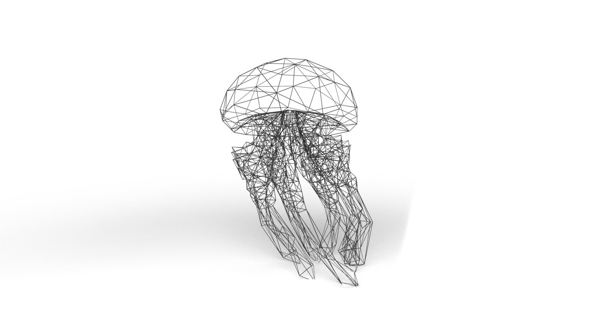 Jellyfish Wireframe Low-poly 3D model_6