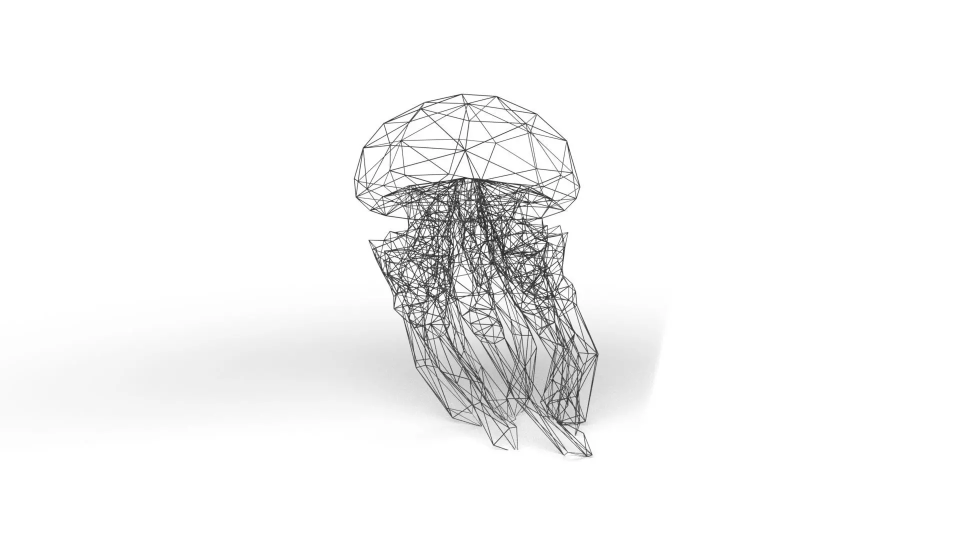 Jellyfish Wireframe Low-poly 3D model_0