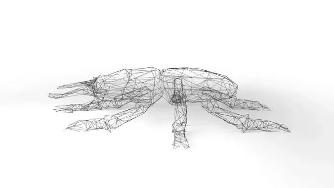 Stagbeetle Wireframe