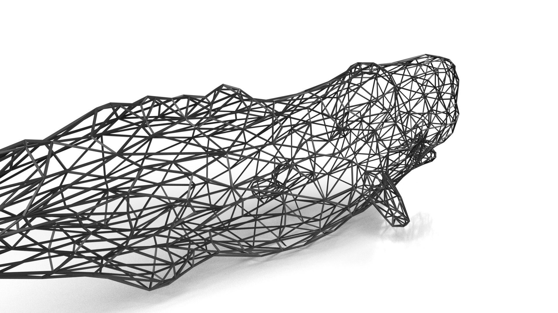 Whale Wireframetiger Low-poly 3D model_5