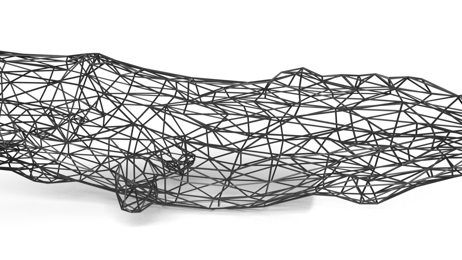 Whale Wireframetiger Low-poly 3D model_6