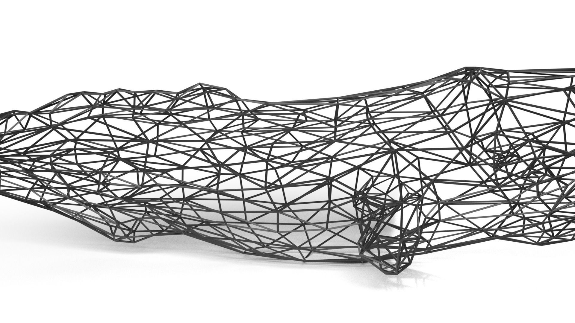 Whale Wireframetiger Low-poly 3D model_4