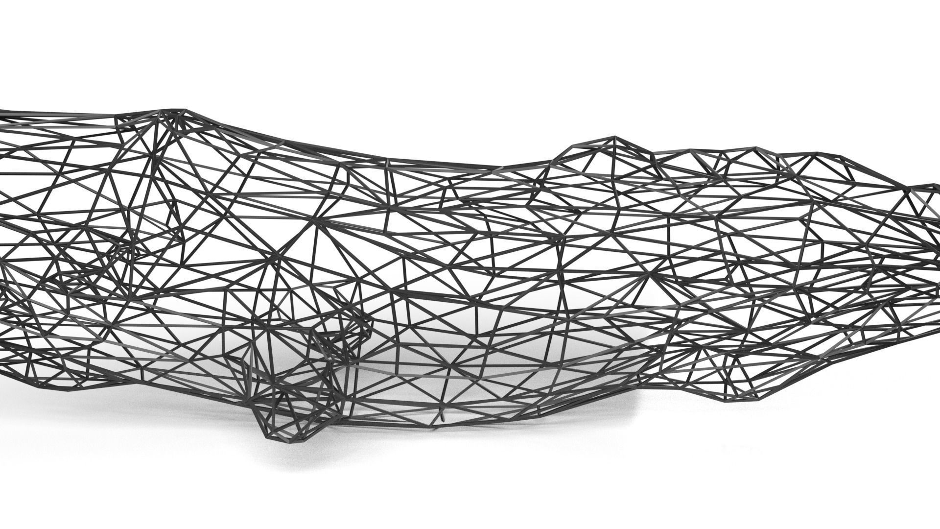 Whale Wireframetiger Low-poly 3D model_1