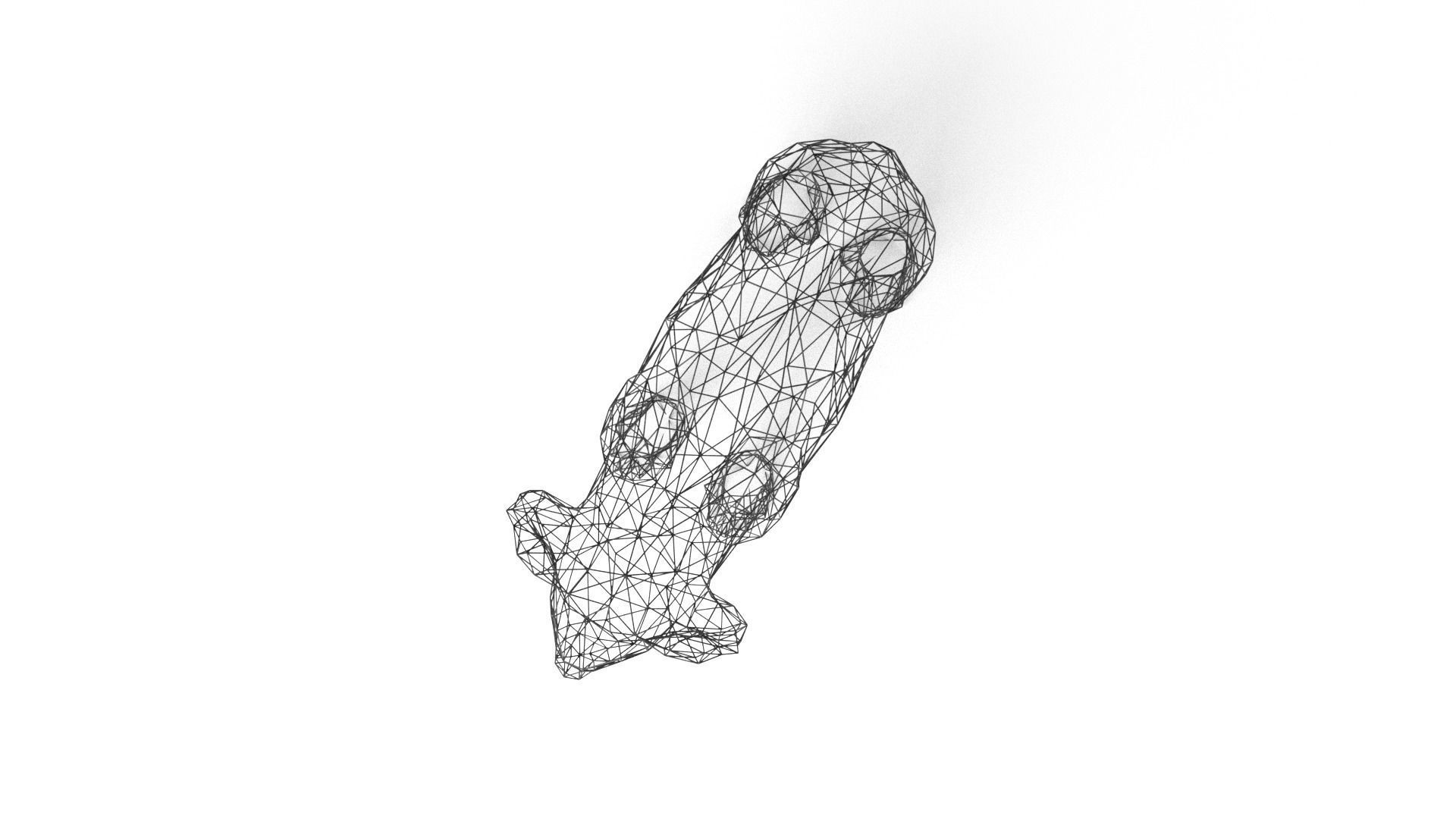 Koala Wireframe Low-poly 3D model_7