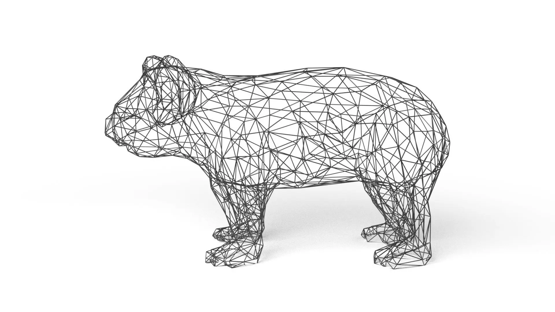 Koala Wireframe Low-poly 3D model_0