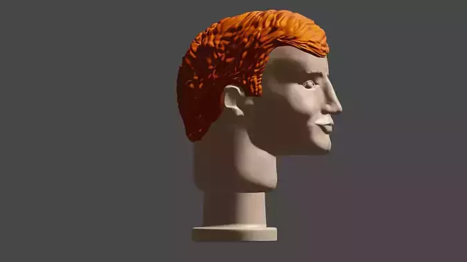 A MAN HEAD