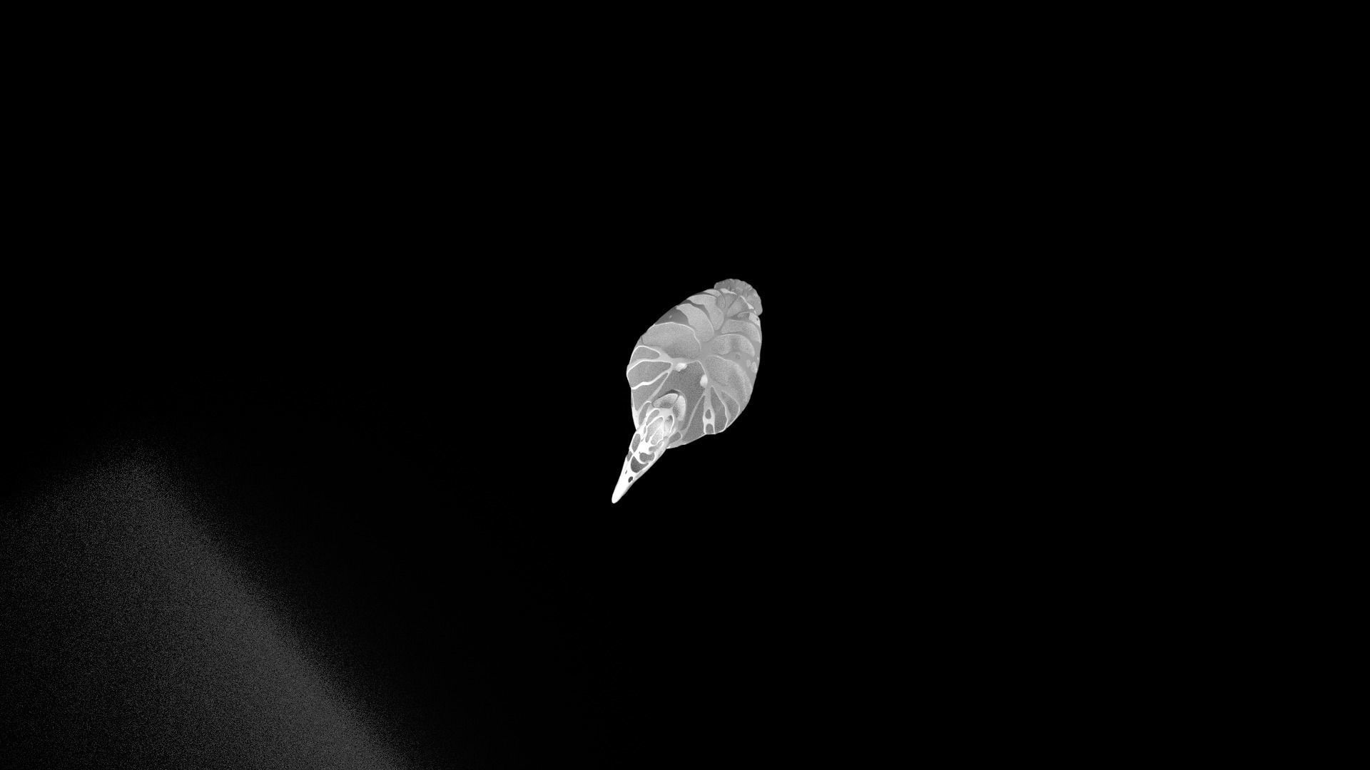 Pelican Dust Voronoi Low-poly 3D model_7