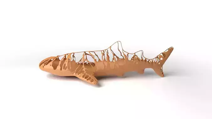 Whaleshark Dust Voronoi