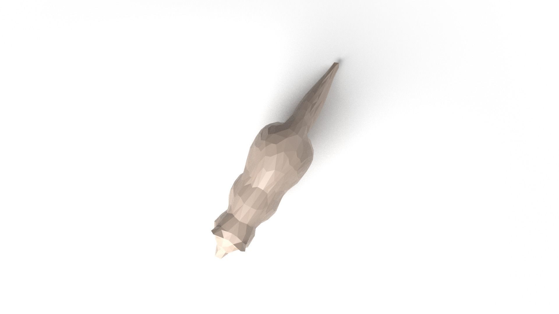 Raccoon Low Poligonal Low-poly 3D model_7