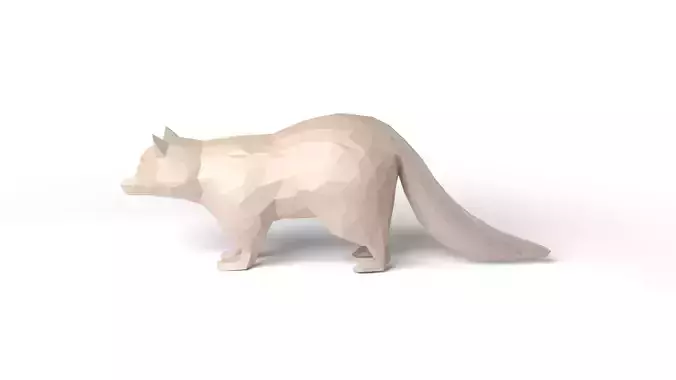 Raccoon Low Poligonal