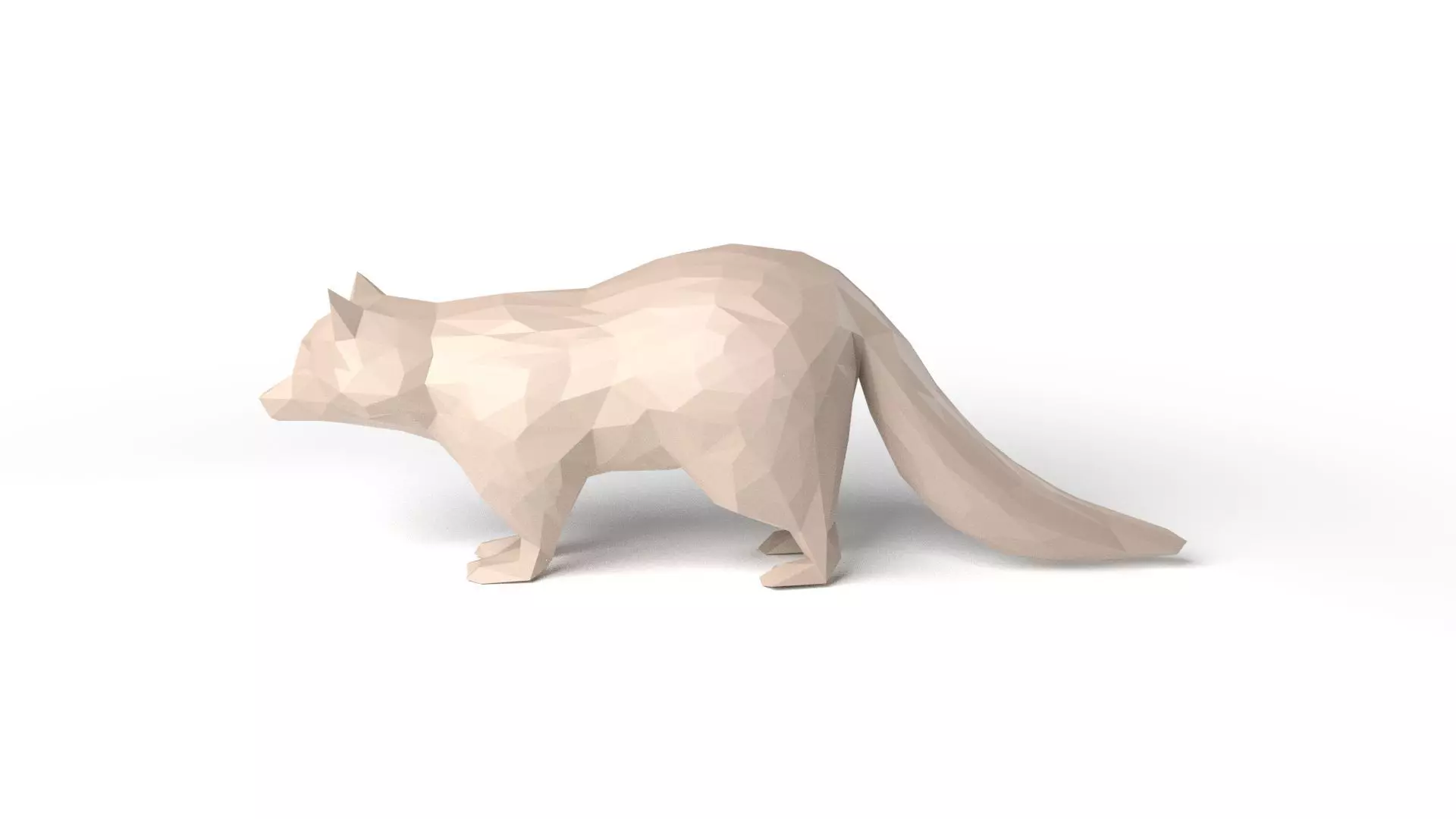 Raccoon Low Poligonal Low-poly 3D model_0