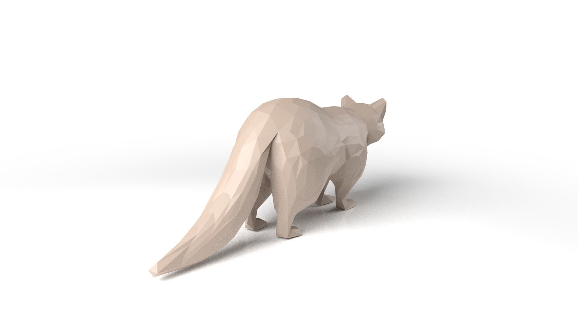 Raccoon Low Poligonal Low-poly 3D model_4