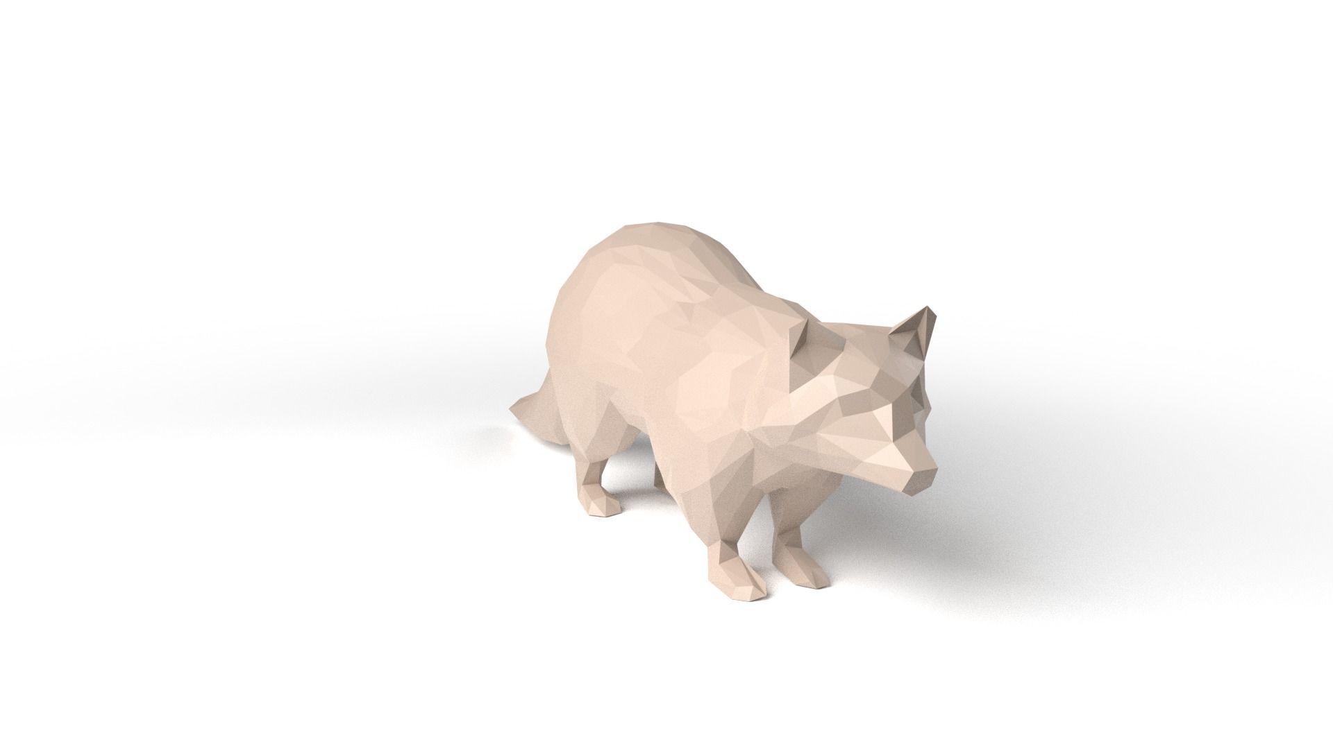 Raccoon Low Poligonal Low-poly 3D model_2