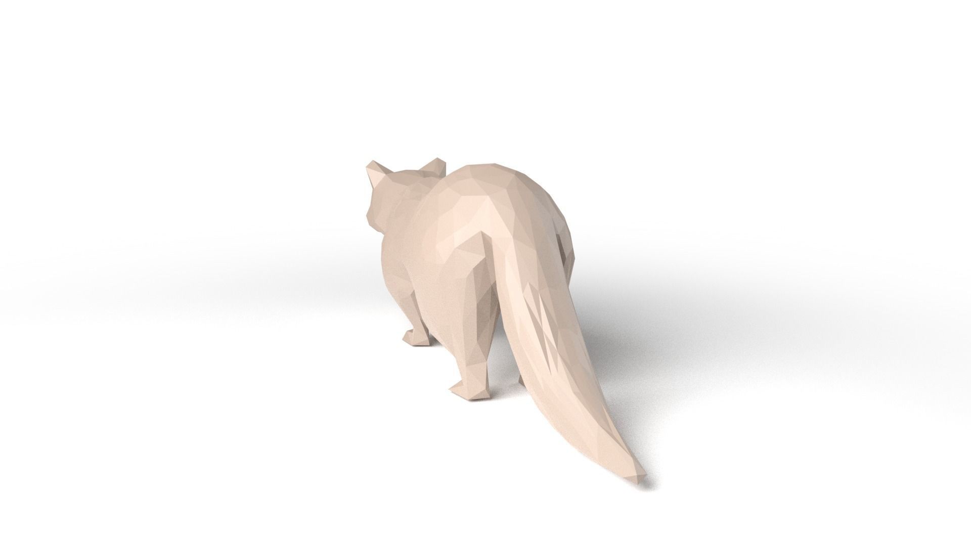 Raccoon Low Poligonal Low-poly 3D model_5