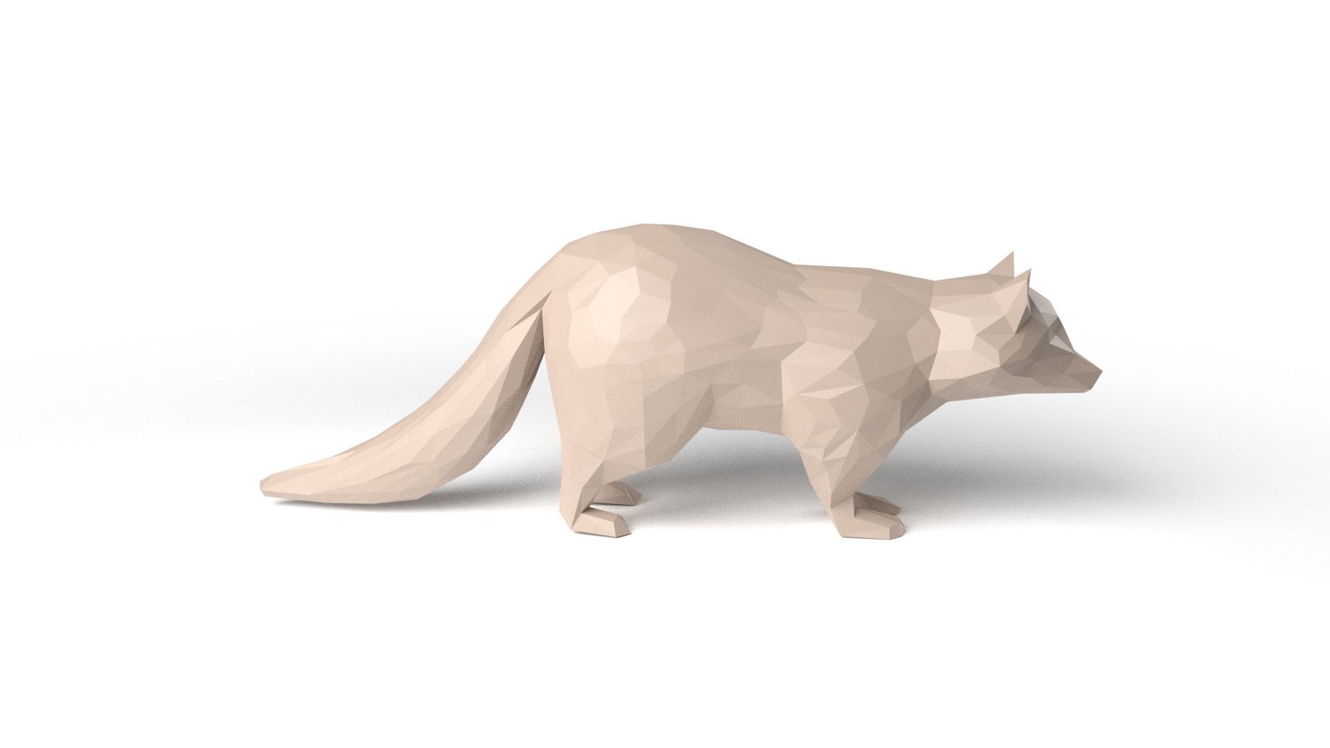 Raccoon Low Poligonal Low-poly 3D model_3
