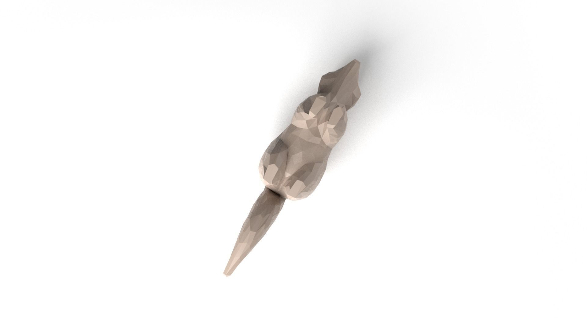 Raccoon Low Poligonal Low-poly 3D model_8