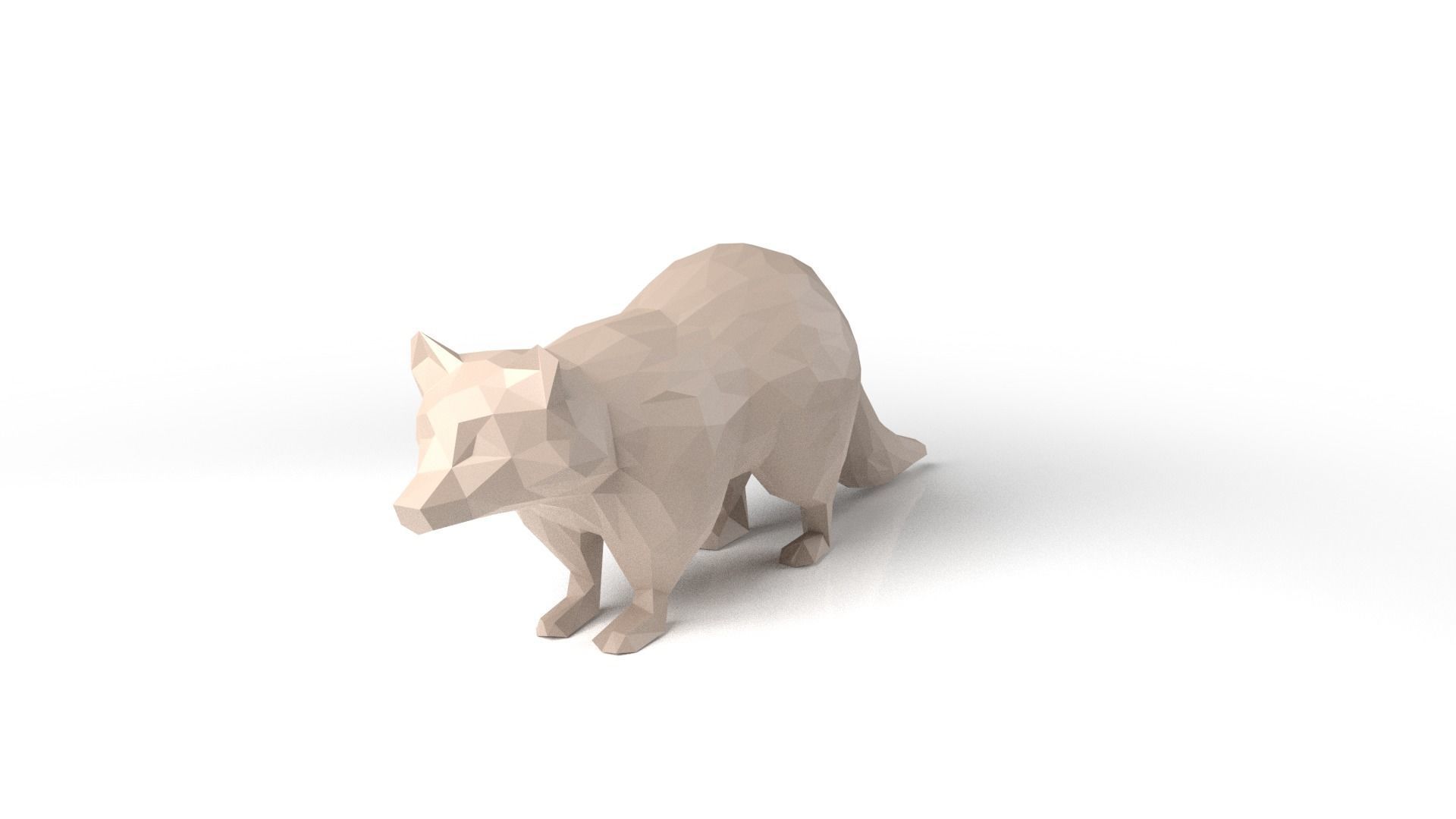 Raccoon Low Poligonal Low-poly 3D model_1