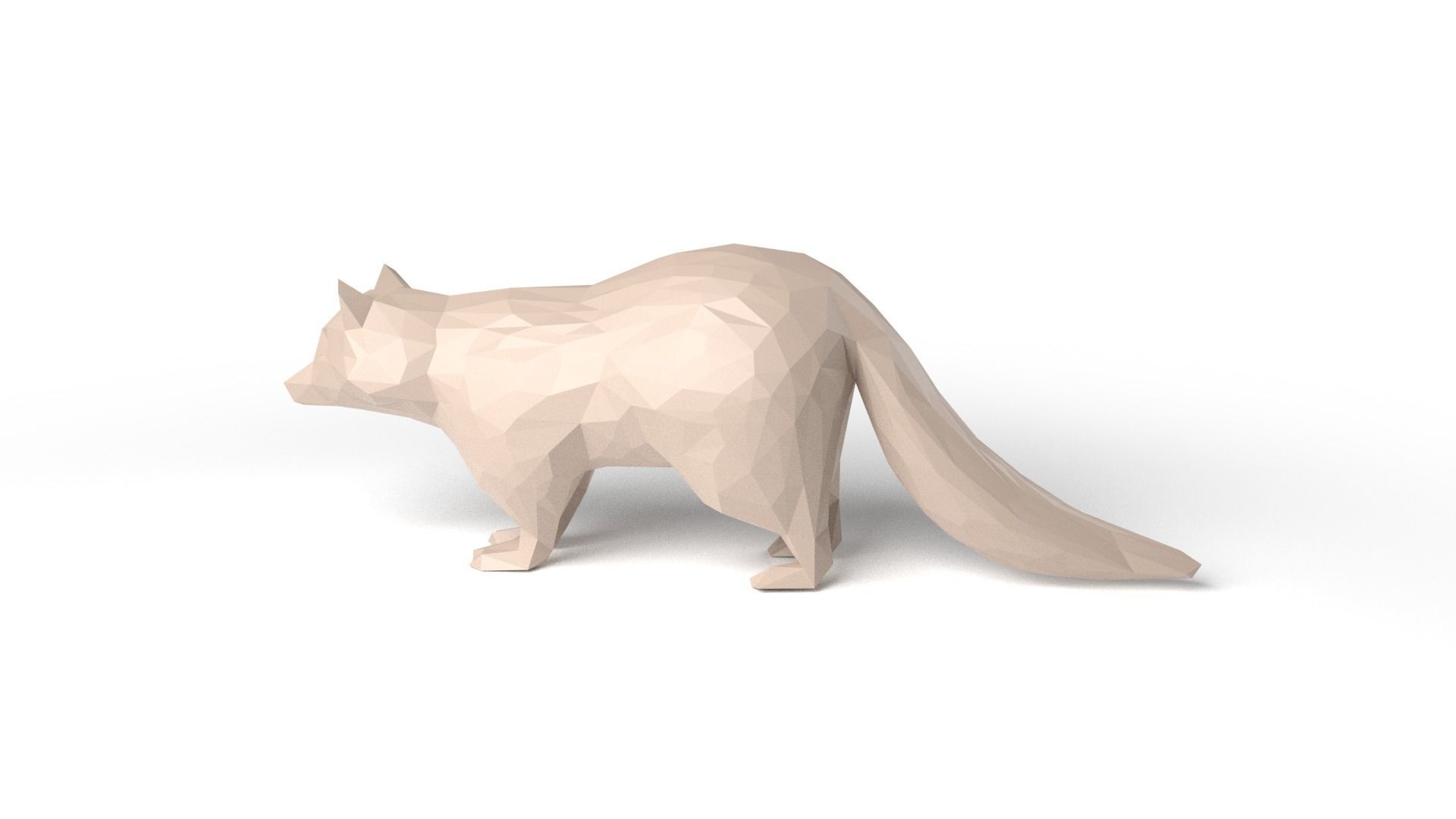 Raccoon Low Poligonal Low-poly 3D model_6