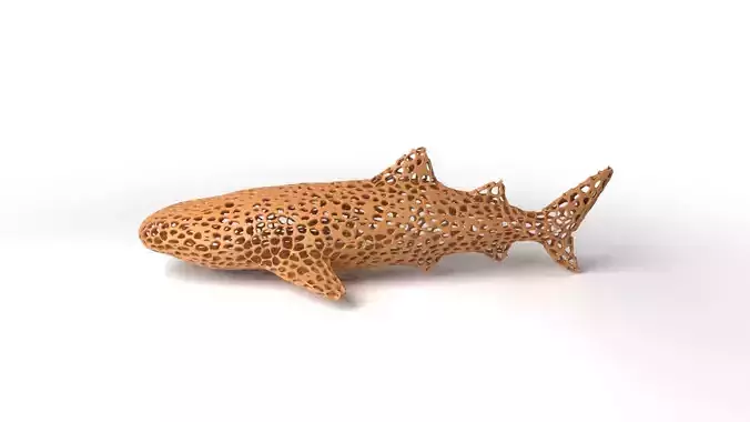 Whaleshark Voronoi