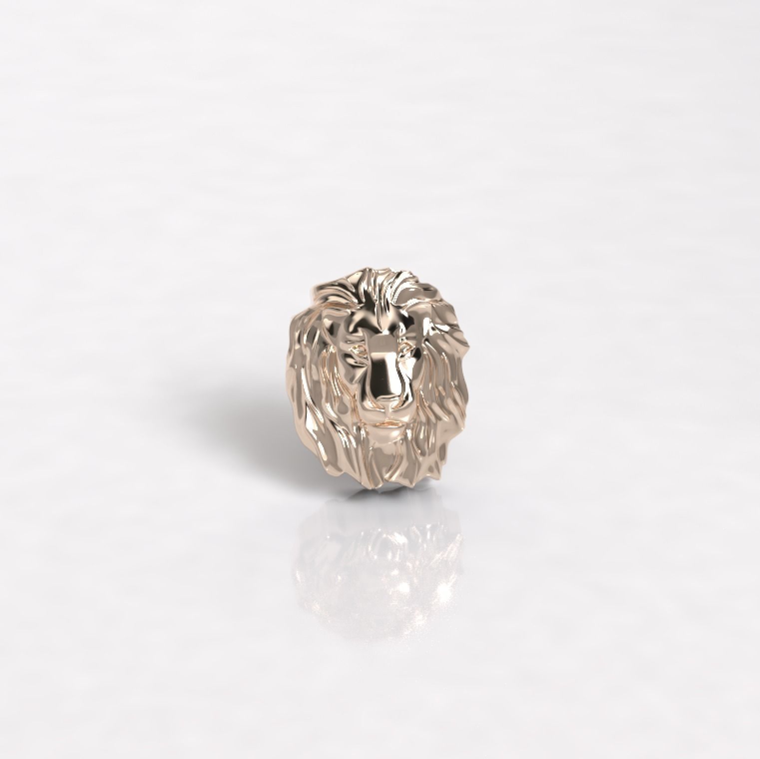 dije leon     I said lion  3D model_3