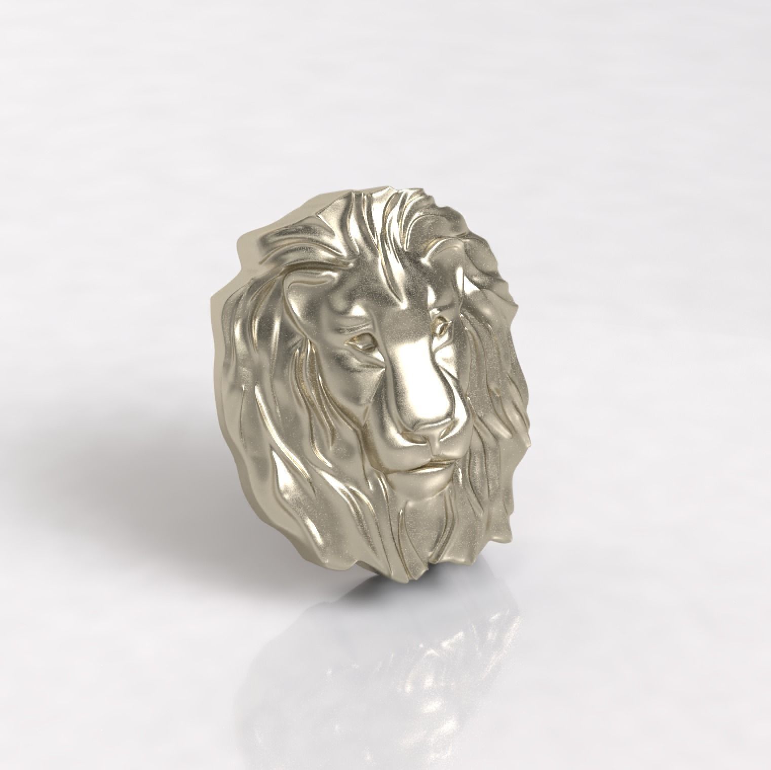 dije leon     I said lion  3D model_1