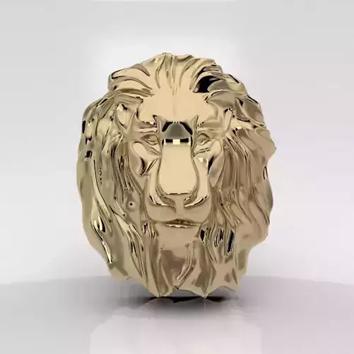 dije leon     I said lion 