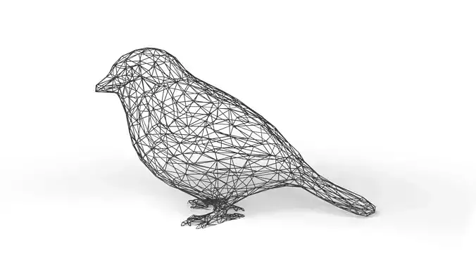 Sparrow Wireframe