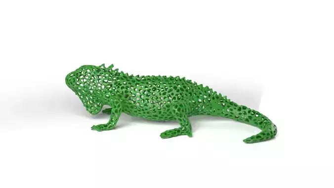 Iguana Voronoi