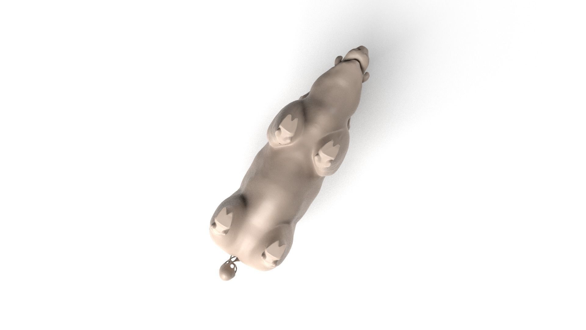 Wildboar Dust Voronoi Low-poly 3D model_8