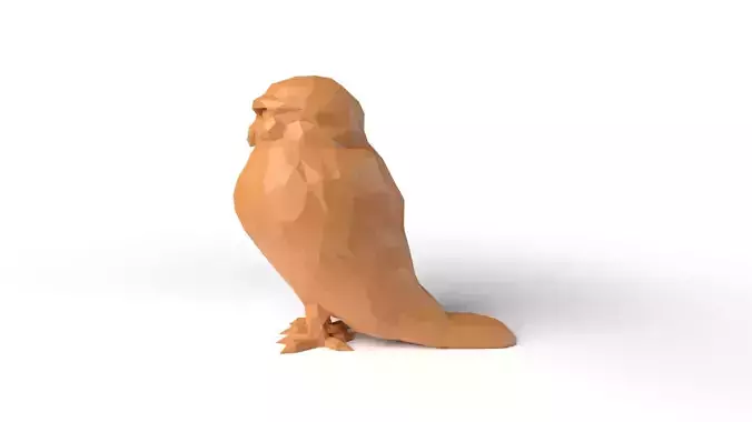 Owl Low Poligonal