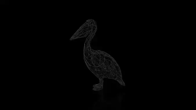 Pelican Wireframe