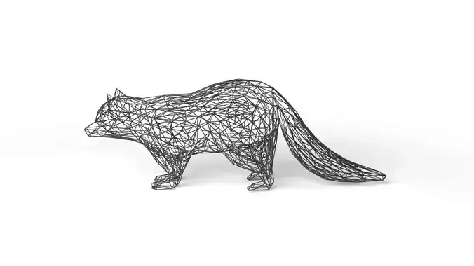 Raccoon Wireframe
