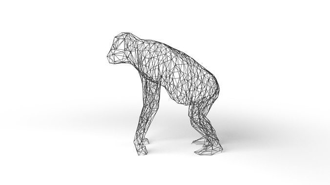 Orangutan Wireframe Low-poly 3D model