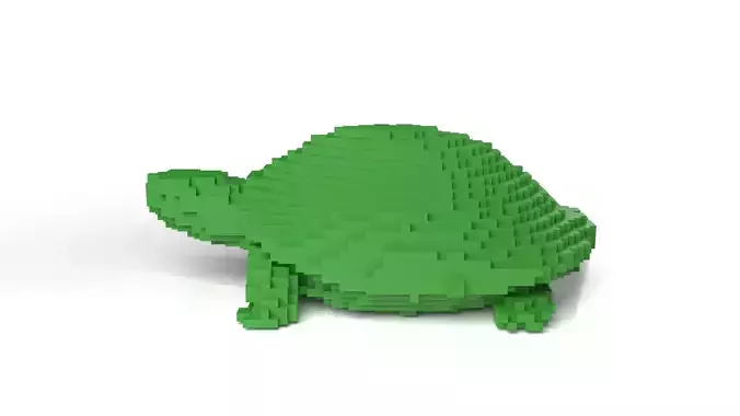 Turtle Minecraft Voxel