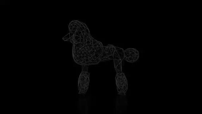 Poodle Wireframe